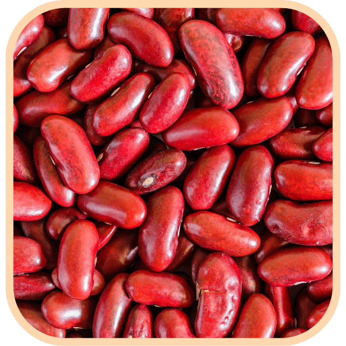 (image for) Red Kidney Beans - Dark